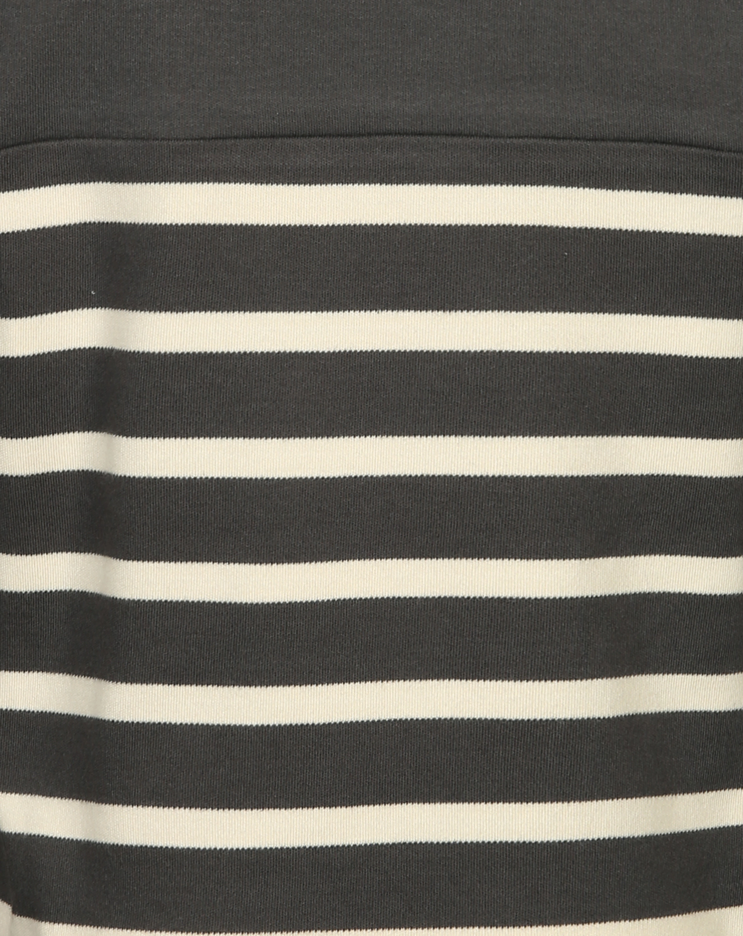 Langarmshirt PRIDE in grau