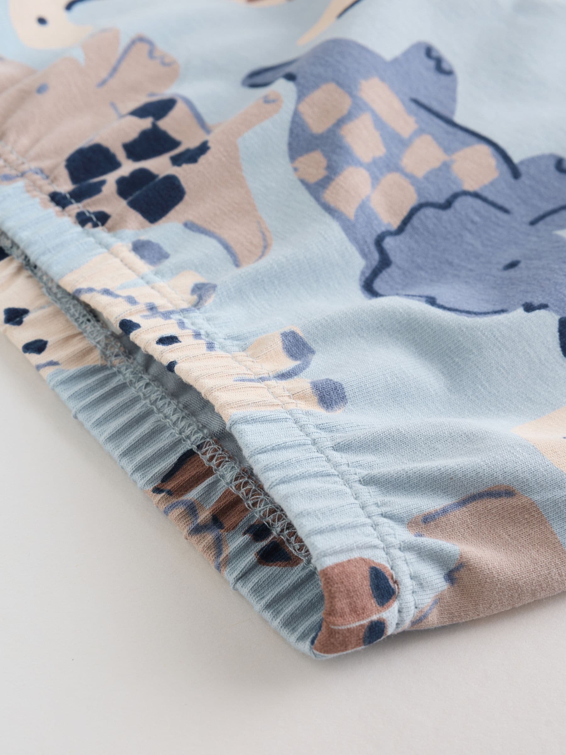 Blauw met dinosaurus - Top en Leggings 2 -delige Babyset (0mnd-3jr)