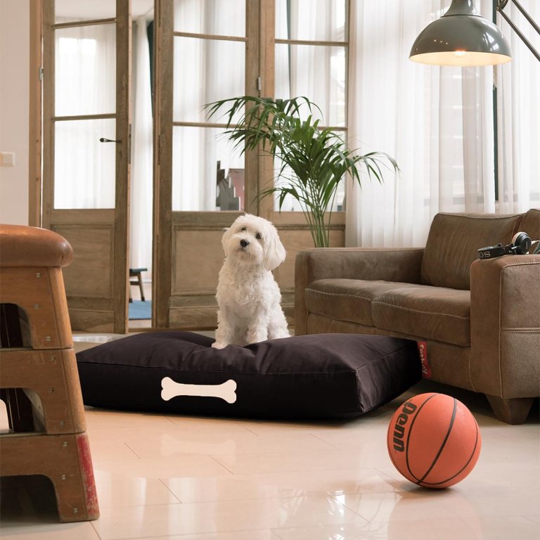 Fatboy Doggielounge S Canvas Recycled Black Licorice