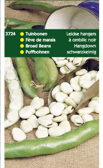 Hortitops Tuinbonen Vicia faba Leidse Hangers - Groentezaden - 250 Gram