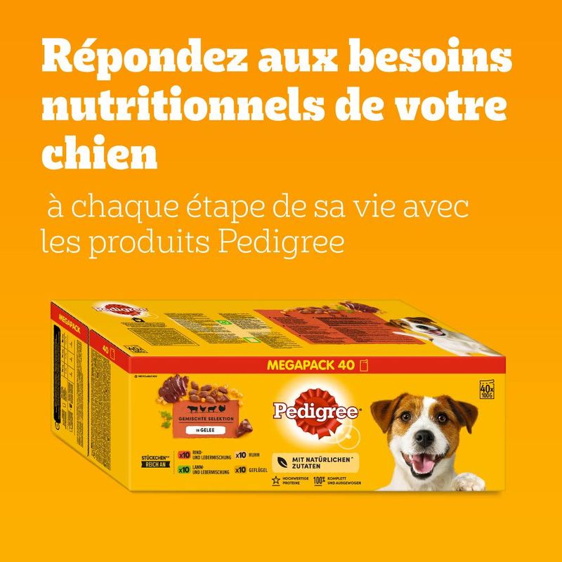 Multipack Pedigree Les classiques en sauce ou gelée