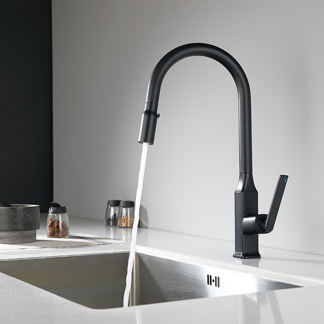 EcoRain Lucas waterbesparende keukenkraan met uittrekbeugel, zwart, gemaakt van roestvrij staal 304 en messing - universeel - krasbestendig - 30% waterbesparing - eenvoudige installatie - kraan