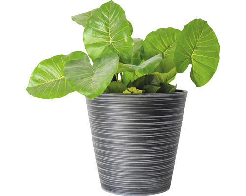Lafiora geribbelde plantenbak, kunststeen, Ø 31 cm, H 29 cm, antraciet