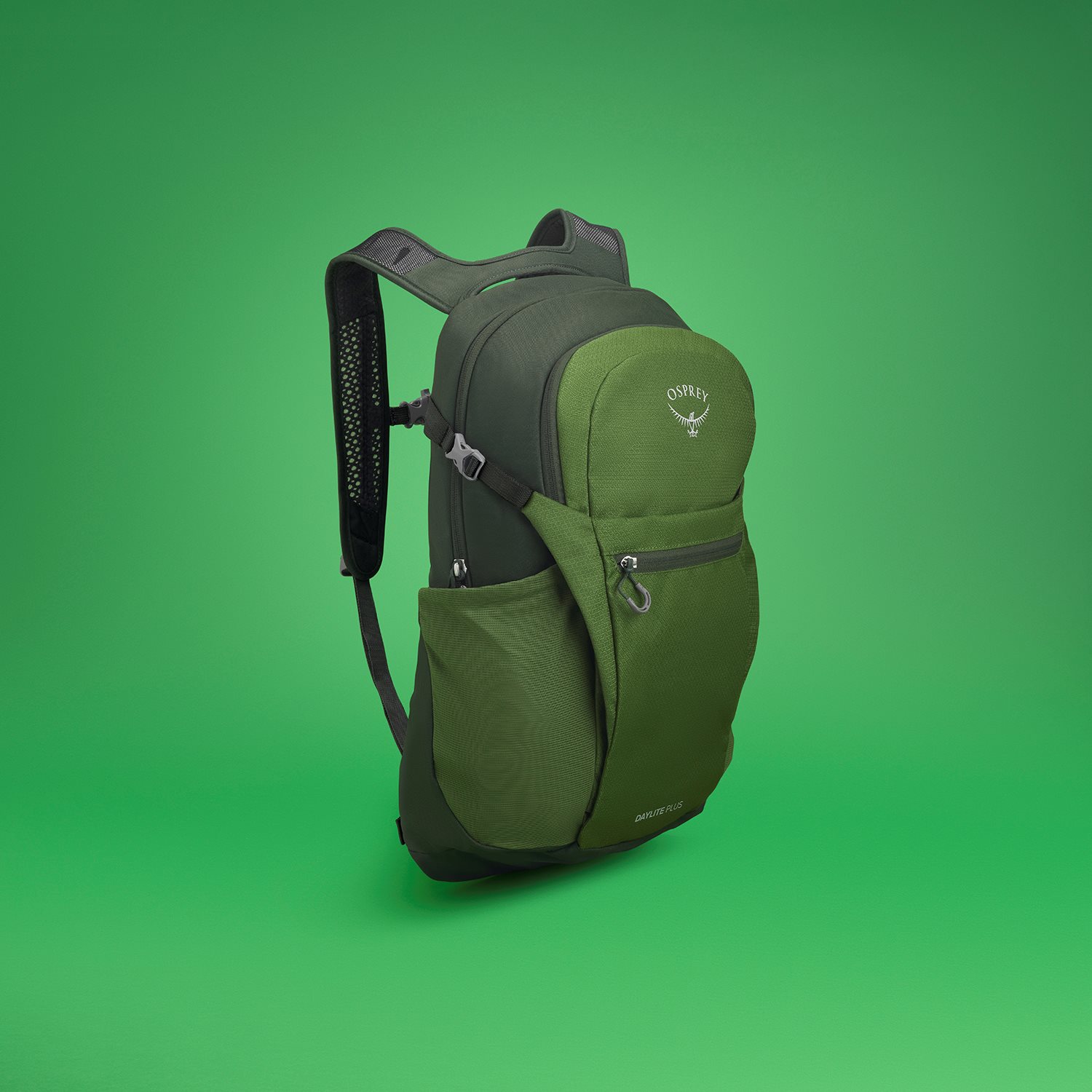 Osprey Daylite Plus green belt/green canopy