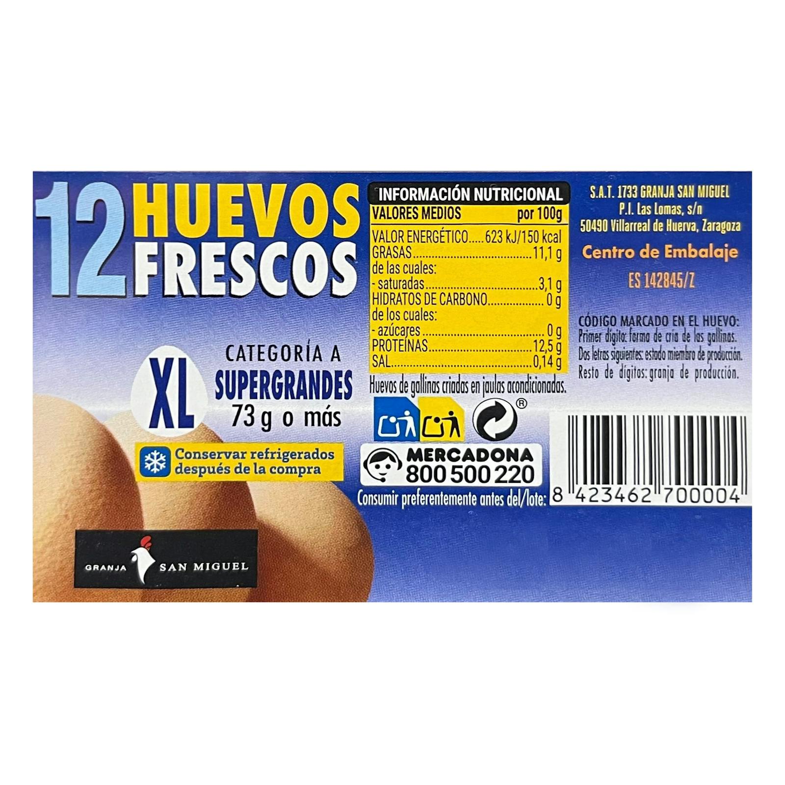 Œufs XL super gros