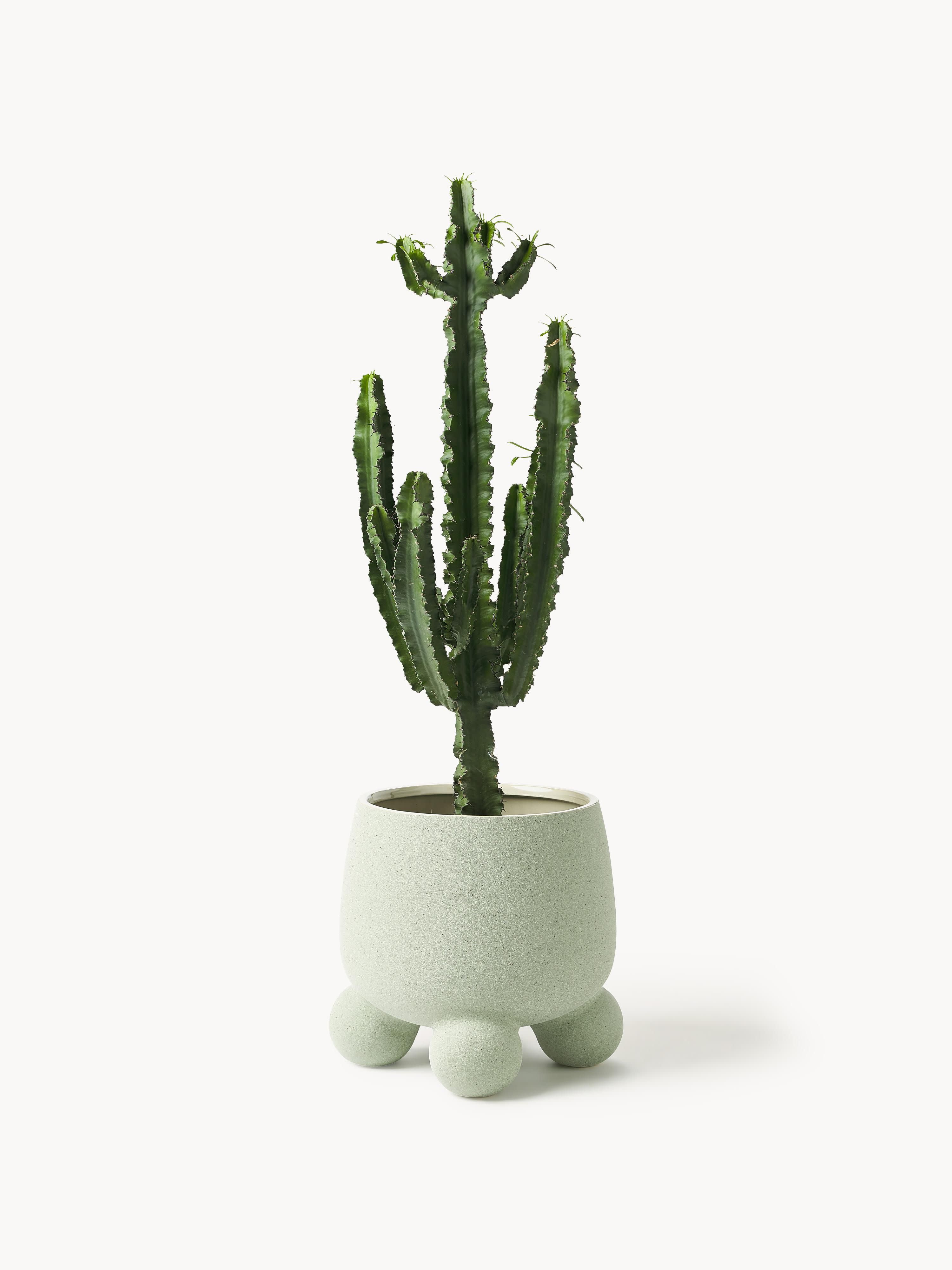 Grote plantenpot Olea, H 32 cm