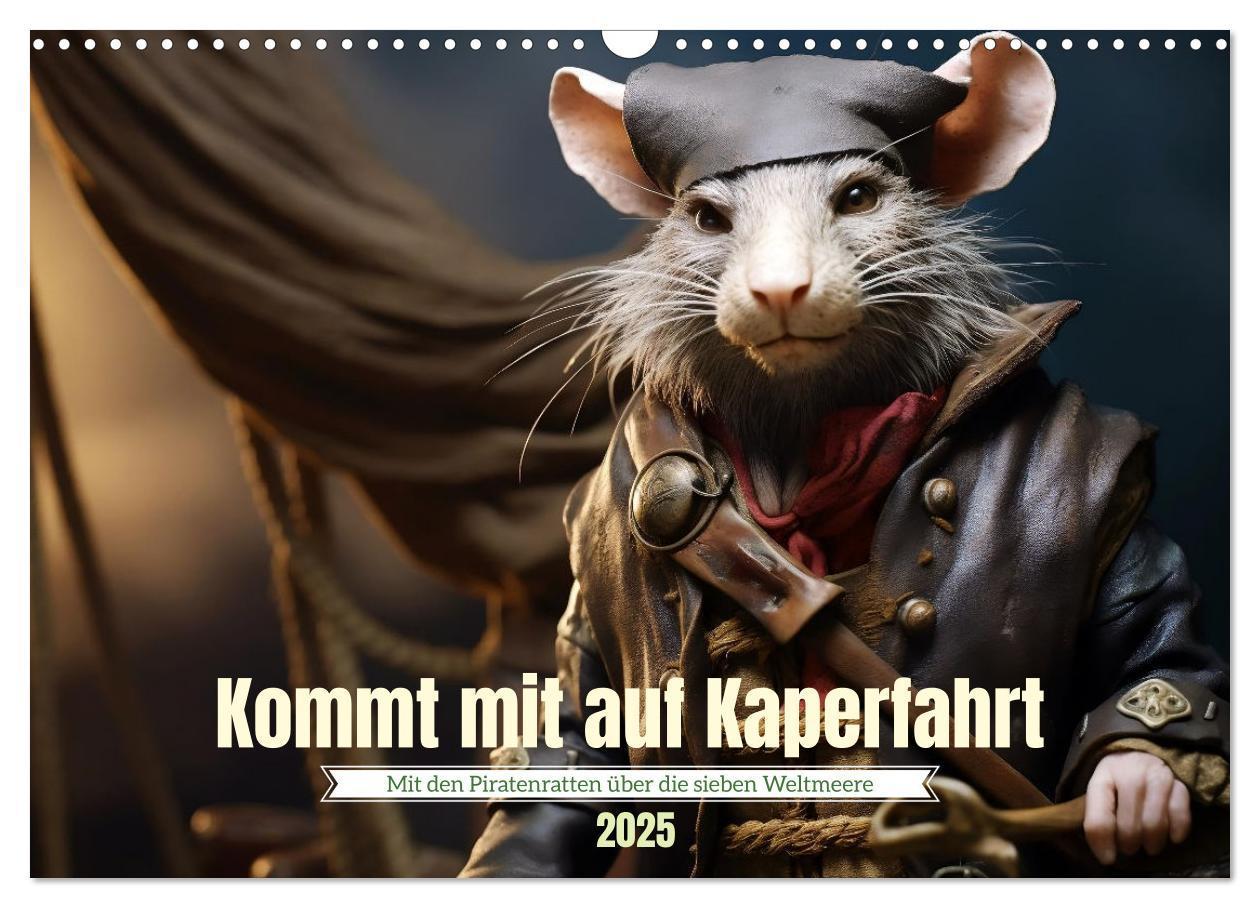 Kommt mit auf Kaperfahrt (Wandkalender 2025 DIN A3 quer), CALVENDO Monatskalender