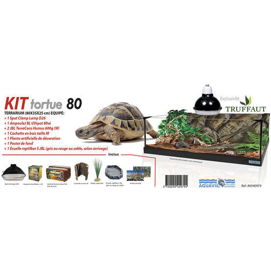 Kit pour tortue terrestre: Terrarium (L80x35xH25cm) équipé