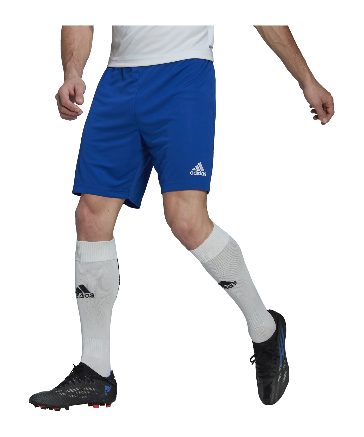 adidas Entrada 22 Short Blau Weiss