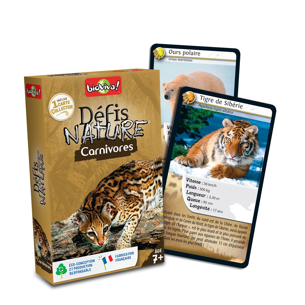 Défis nature carnivores