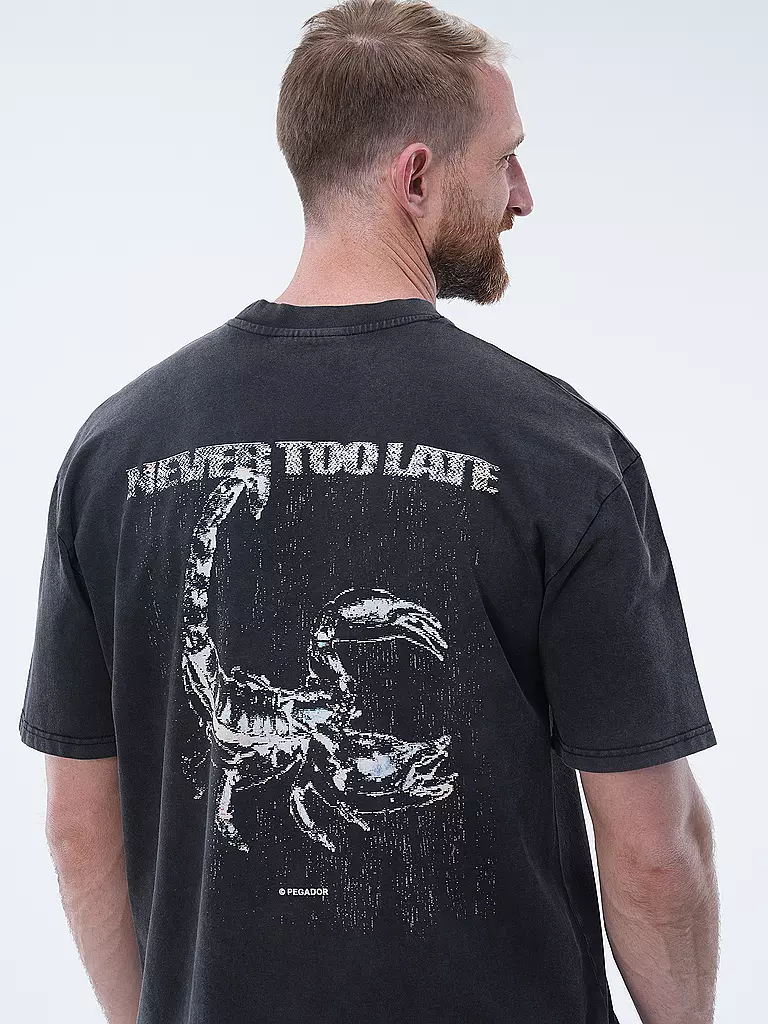 PEGADOR T-Shirt FILBERT schwarz