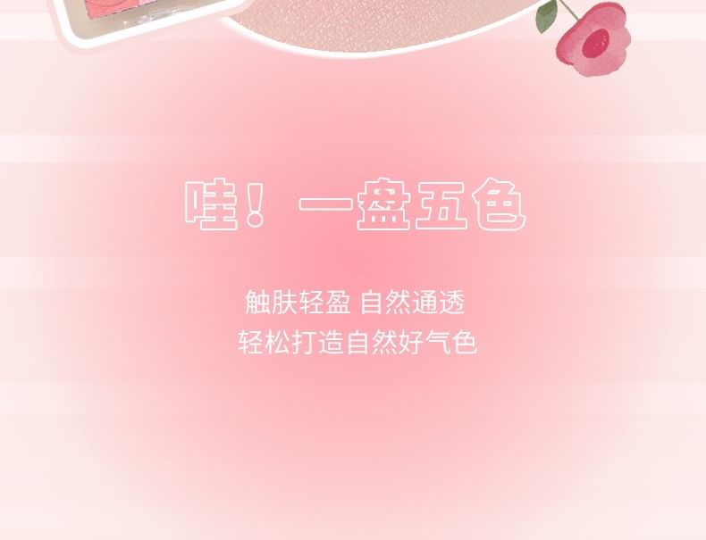 COLOR SCHOOL - Gradient Blusher - 2 kleuren