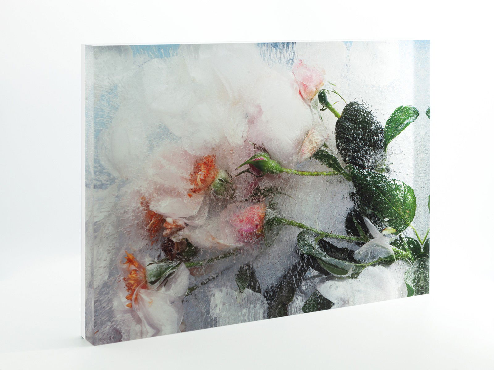 Roses Past by Mary Kocol - Open Edition.
