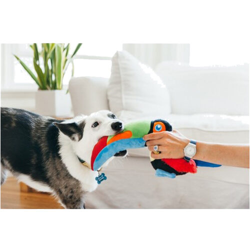 P.L.A.Y. Fetching Flock - Toucan