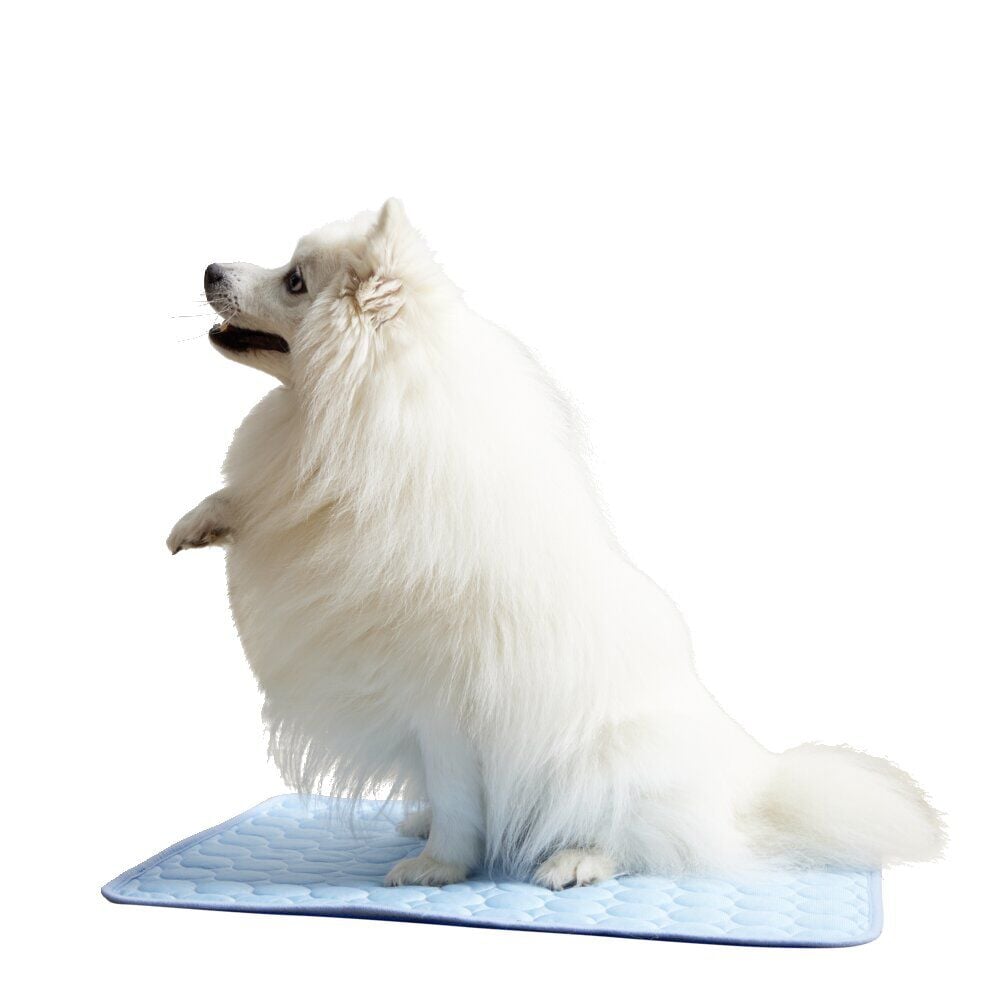 Tapis rafraîchissant pour chien 45x60cm