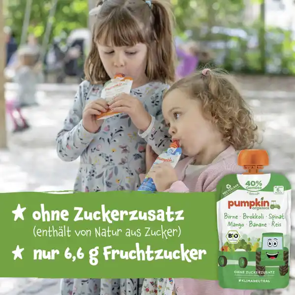 Bio Quetschie mit Birne, Brokkoli, Spinat, Mango, Banane & Reis