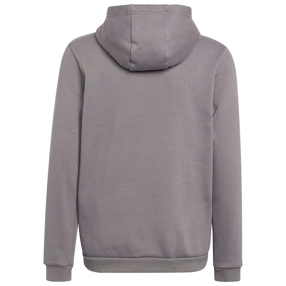 Moletom adidas Entrada 22