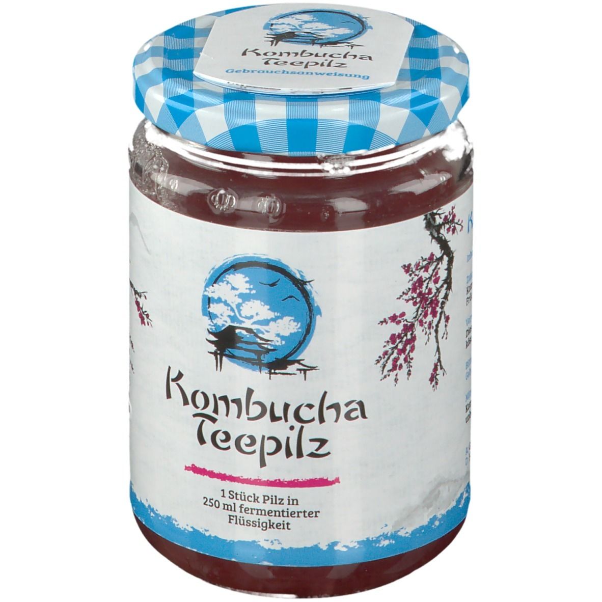 GALL PHARMA Kombucha Teepilz