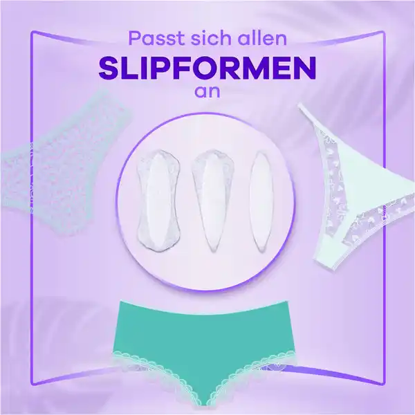 Daily Fresh Flexistyle Slipeinlagen Slim mit Frischeduft Big Pack