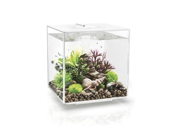 biOrb Cube 30 MCR Wit | Aquarium