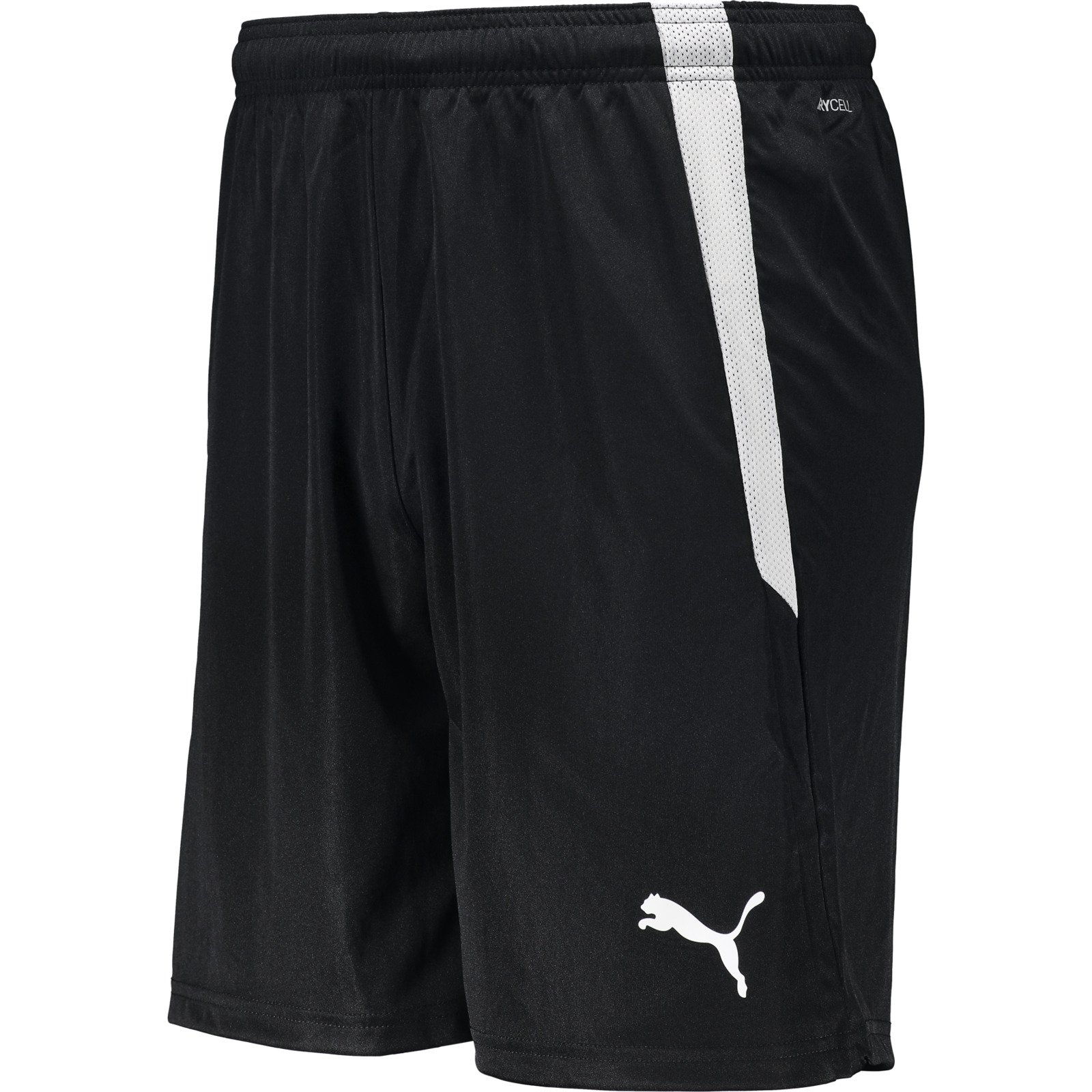 Puma Herren-Shorts team Liga L, schwarz