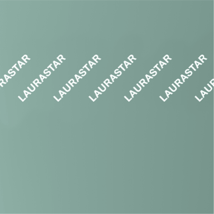 Laurastar Bezug MyCover Silt Green