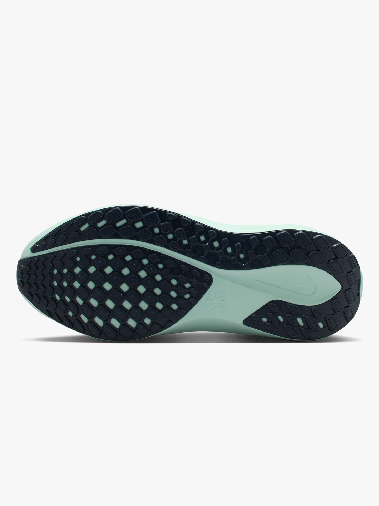 Pegasus 41