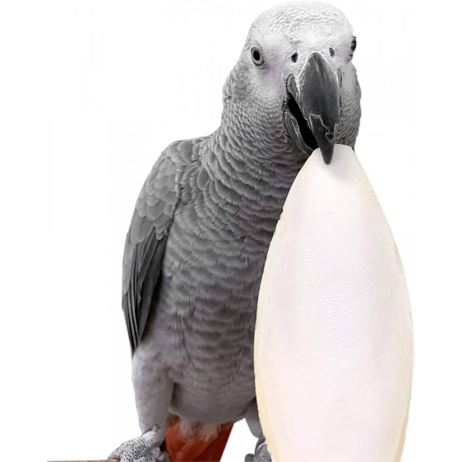 Ossos de choco a granel 3,75 kg (cálcio e minerais naturais para suas aves)