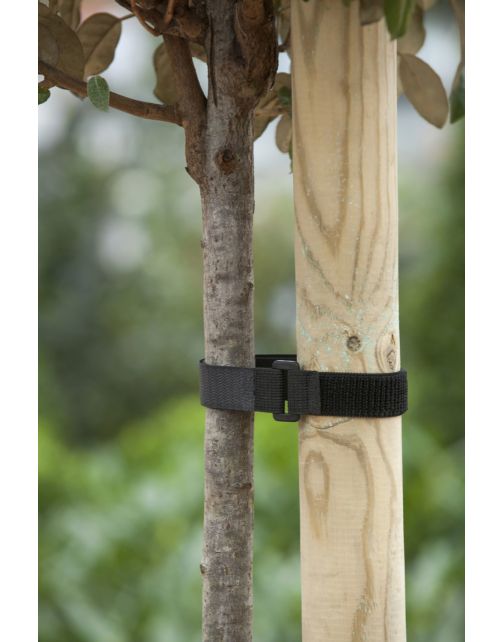 Nature Klittenboomband - Klim-En Geleide Artikel - 2.5x40 cm Zwart 2 stuks