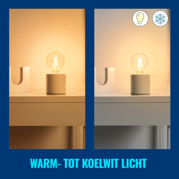 WiZ Connected LED globe E27 60W filament helder koel tot warmwit licht dimbaar