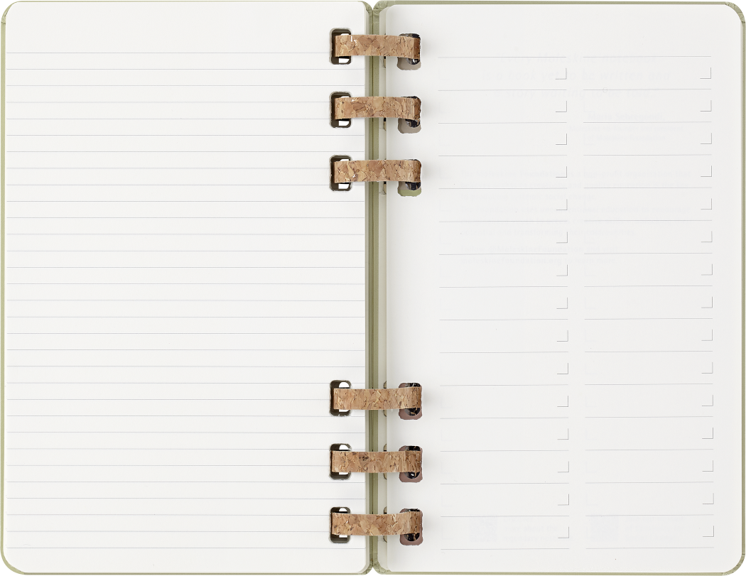Life Planner 2025 L 12-Month, Spiral