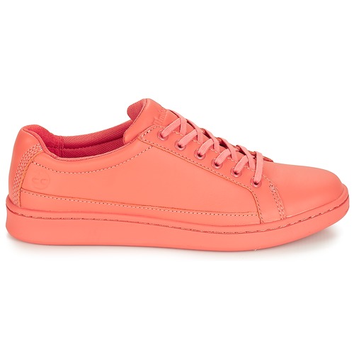 Timberland - San Francisco Flavor Oxford - CRABAPPLE