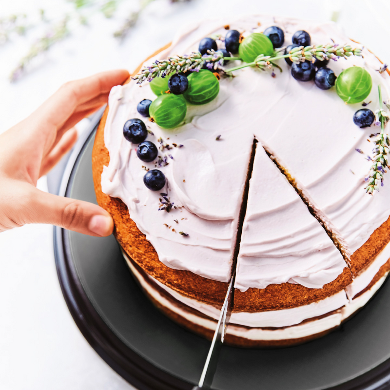 Torten- und Kuchenset (3) Der Tortenbehälter mit dem Twist mit Tortenheber und Schneidunterlage - überall Kuchengenuss