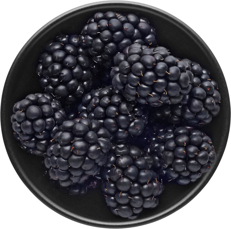 Eva Solo Skål 0,15l Ø10cm Nordic kitchen Sort