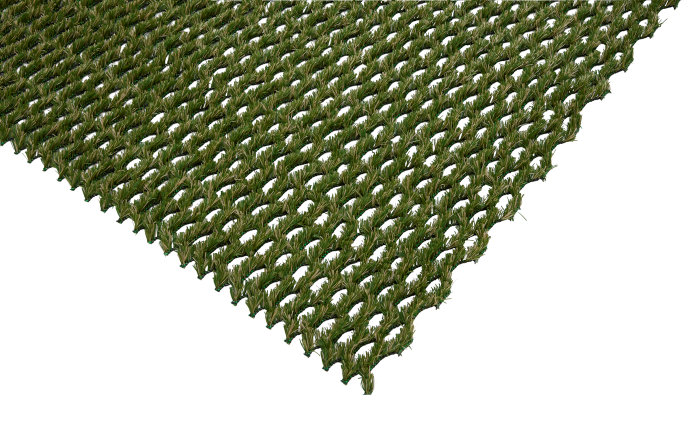Græshybrid 1 × 1 meter - Garden