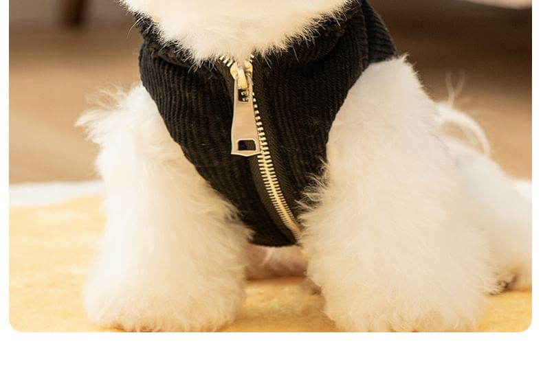 Cissilli - Corduroy Pet Top met capuchon en letters