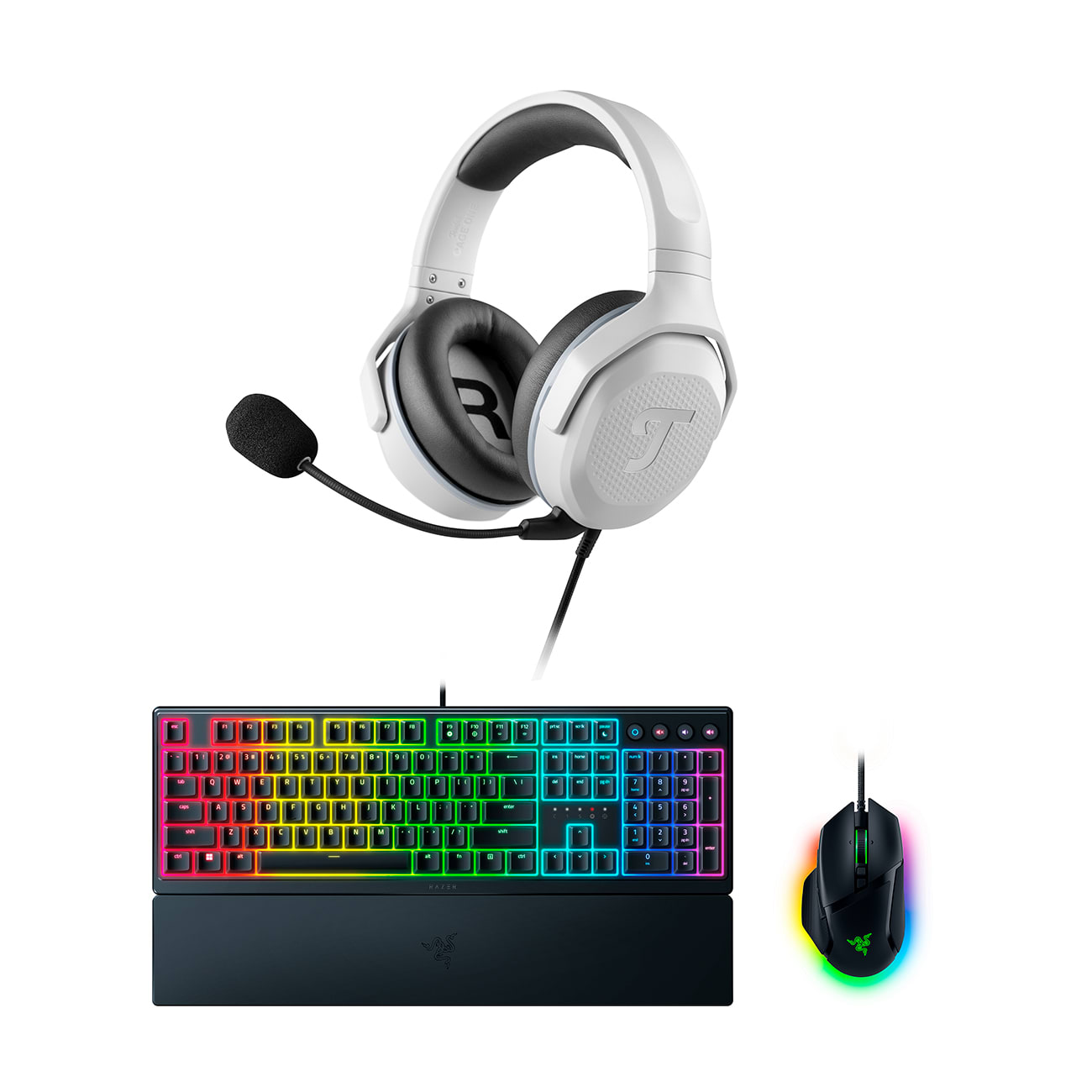CAGE ONE + Ornata + Basilisk