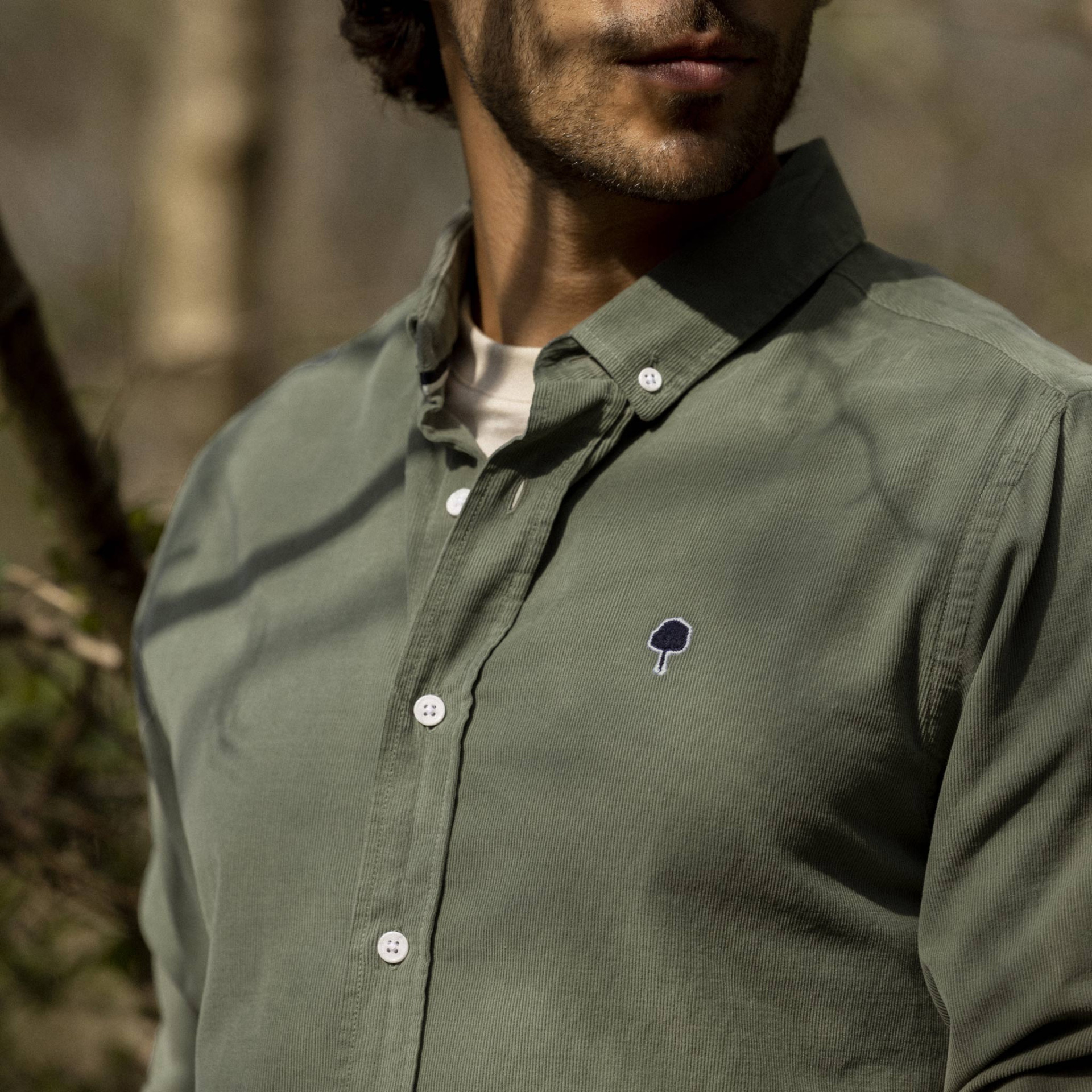 Chemise classique verte coton bio - modèle Ivoy