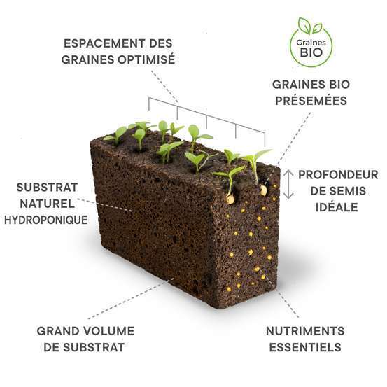 Recharge lingot® de basilic grand vert bio - pour potager Véritable®