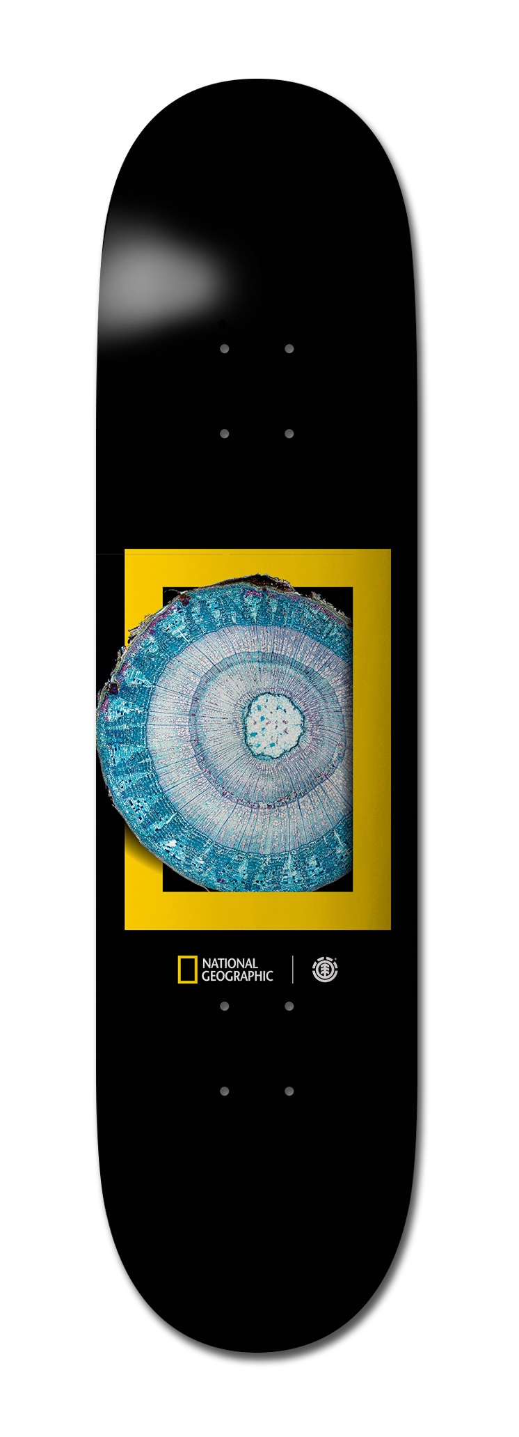 Element Nat Geo Molecule 8.25