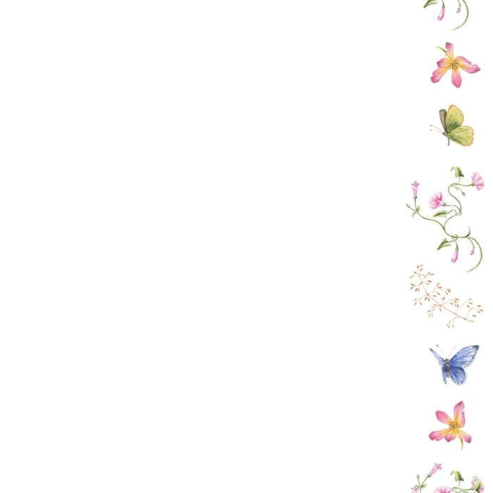 Janneke Brinkman | Verjaardagskaart | Bloemen