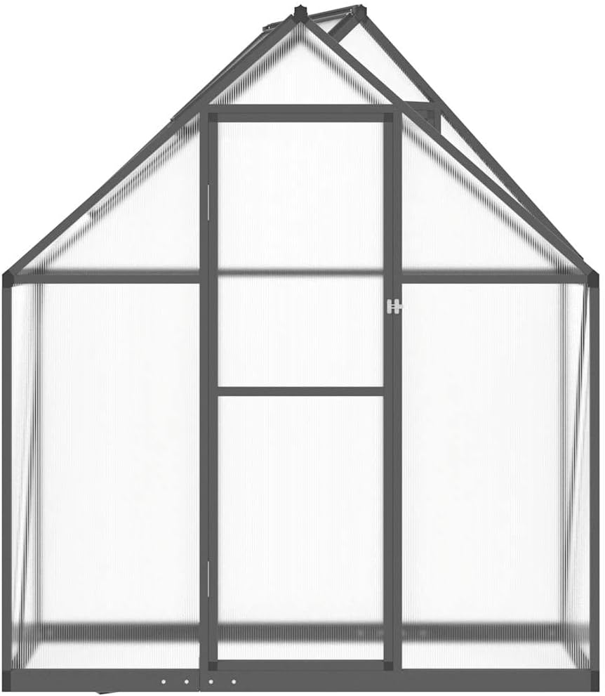 vidaXL Gewächshaus mit Fundamentrahmen, Pflanzenhaus mit Dachrinnensystem Flügeltür, Treibhaus für Pflanzen, Frühbeet, Anthrazit Aluminimum
