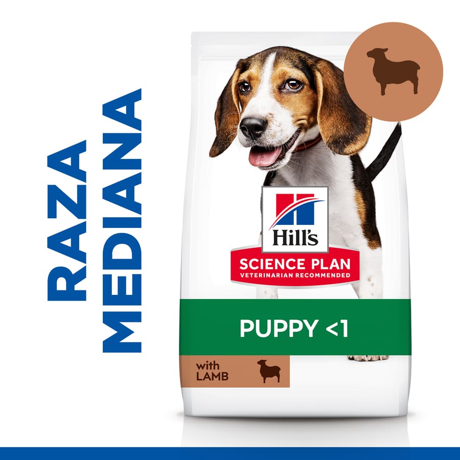 Ração Hill's Science Plan para Cães Filhotes de Porte Médio com Cordeiro e Arroz