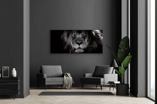 Keilrahmen Löwe schwarz/weiß 200 x 90