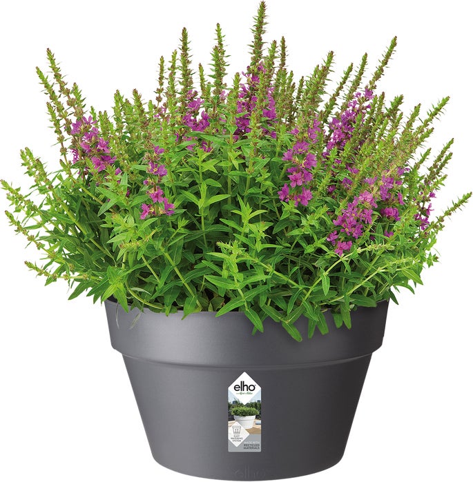 Elho plantenschaal Loft Urban antraciet D 34,5 H 20,2 cm