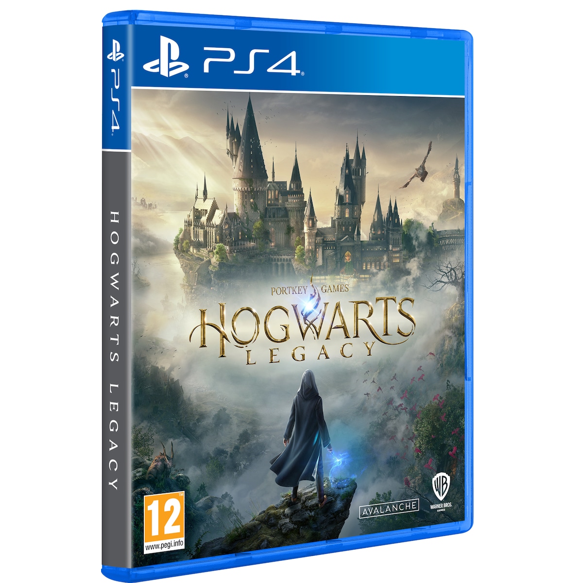 Hogwarts Legacy (PS4)