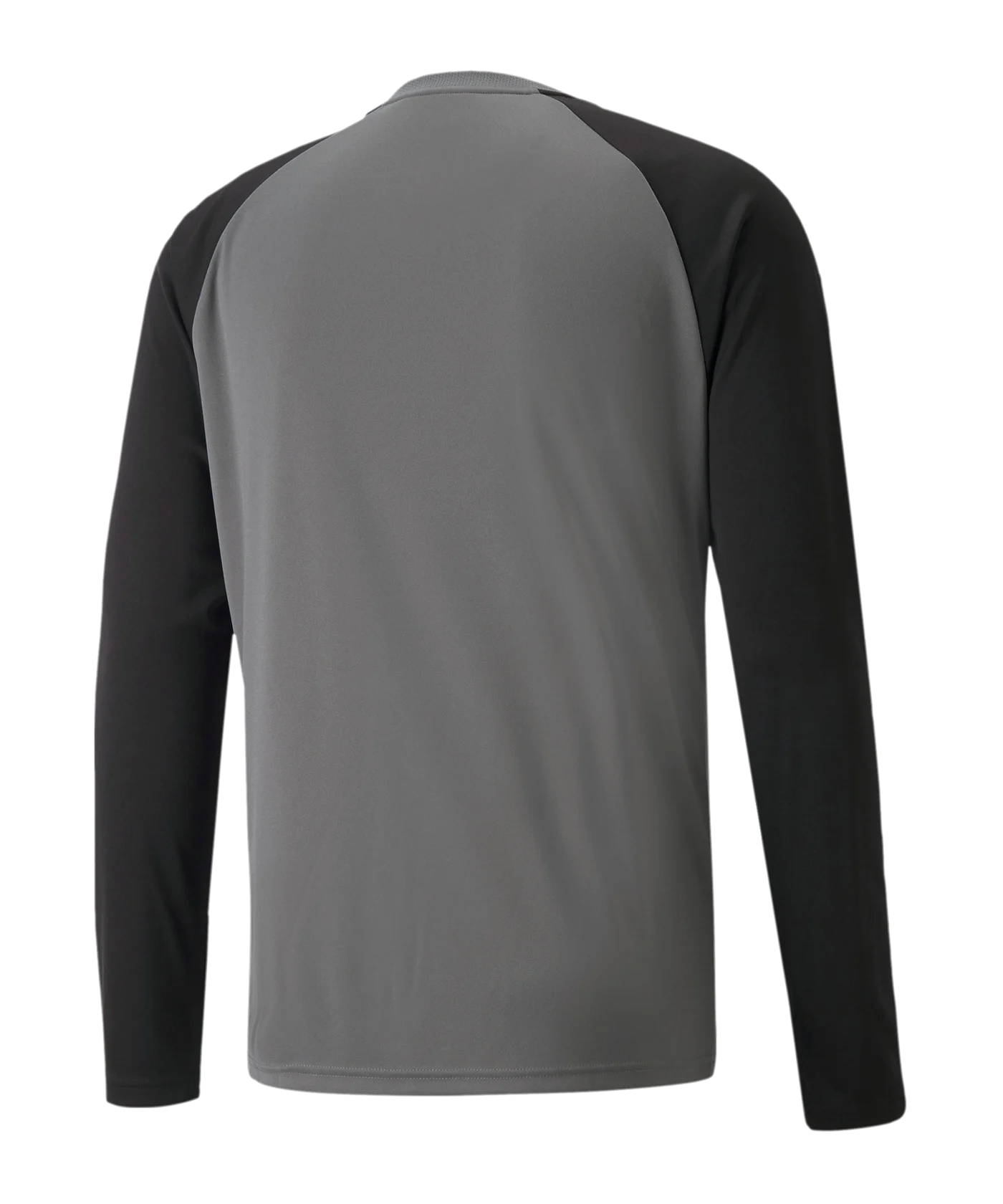 PUMA teamPACER Torwarttrikot langarm Grau F43