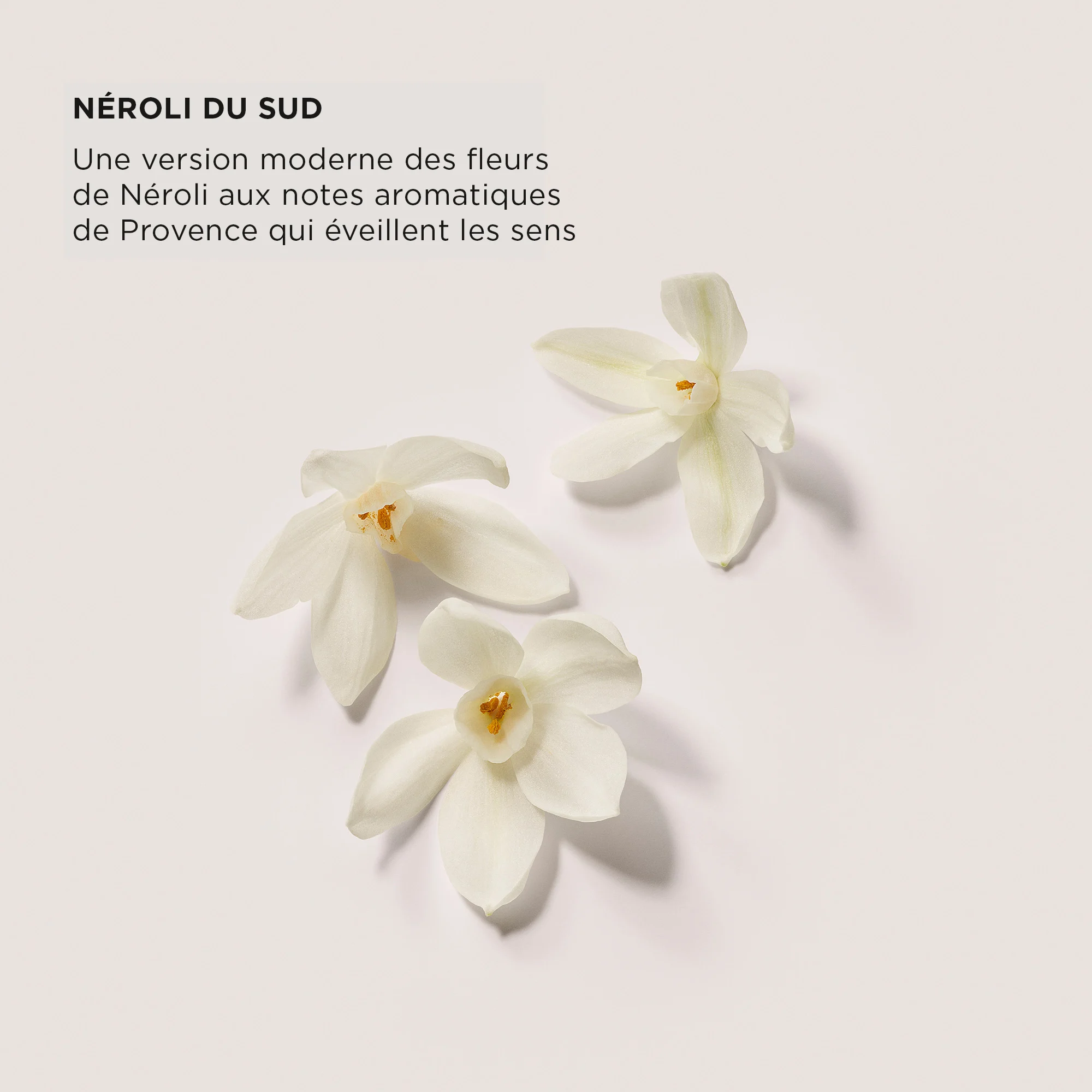 EXFOLIATING BODY WASH - NÉROLI DU SUD |