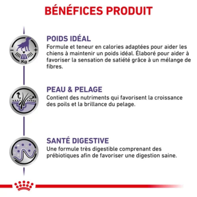 Croquettes Royal Canin Expert Neutered Adulte Medium