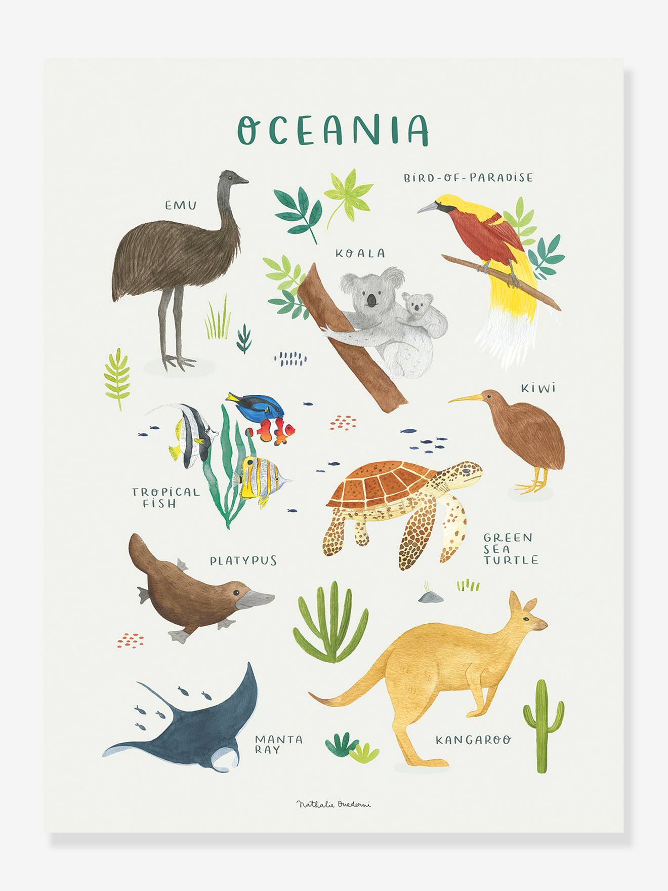Estampa de animais da Oceania Lilydale LILIPINSO marrom